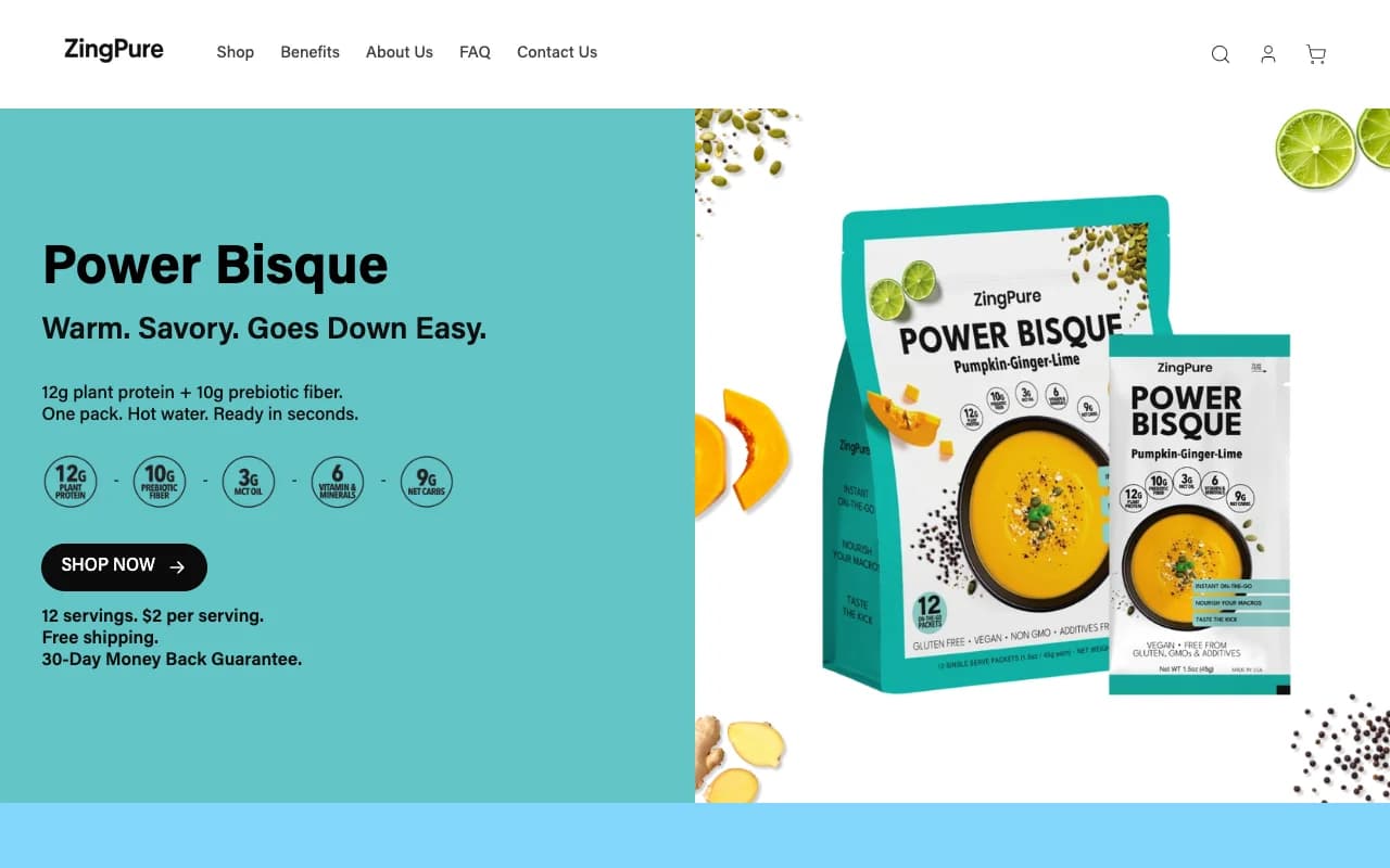 ZingPure desktop homepage